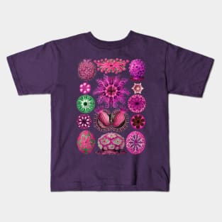 Ernst Haeckel Ascidiae Sea Squirts Magenta Kids T-Shirt